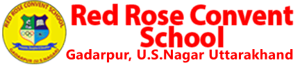 Red Rose Convent School 